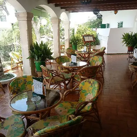 Oasis D'or
